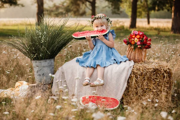 Пікнік Родиною Мила Маленька Дівчинка Їсть Великий Шматок Кавуна Соломі — стокове фото