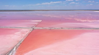 Pembe Ada 'daki adanın kıyılarındaki beyaz tuzun ve mavi gökyüzünün havadan görünüşü. Lemuria Gölü, Ukrayna. Göl, tuzlar ve sudaki kabuklu deniz ürünleri yüzünden doğal olarak pembeleşir..