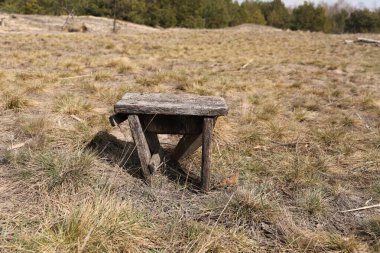 Bahar günü kuru çimlerde eski ahşap sandalye. Yüksek kalite fotoğraf.