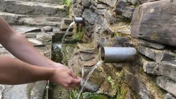 Mains cueillant l'eau de montagne de source. homme boire l'eau de la source qui coule de la roche parmi la végétation dans la forêt dans la nature — Video