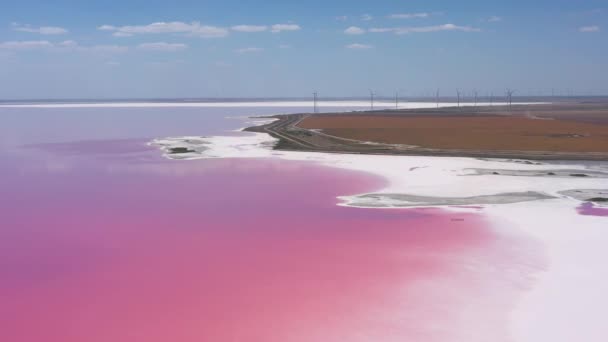 ピンクの塩湖を飛び越える 塩の生産設備塩湖の生理食塩水蒸発池フィールド 乾燥した石灰化した塩辛い海岸とミネラルレイクで赤 ピンクの水を与えるDunaliellaサリナ — ストック動画