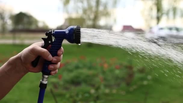 Close up male hand holding water hose and watering lawn or plants on backyard. gardener man with sprinkler in garden. hobby concept. — Stockvideo