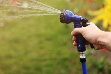 Watering green garden with outdoor hose. hand with hose sprinkle watering plants in the garden. watering lawn or plants on backyard. gardener man with sprinkler in garden.