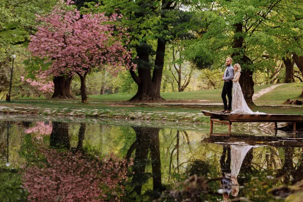 Gyönyörű Vidám Élénk Friss Házasok Vőlegény Menyasszony Ölelkeznek Virágzó Rózsaszín — Stock Fotó