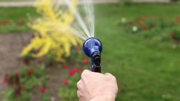 Close Male Hand Holding Water Hose Watering Lawn Plants Backyard — Stockvideo