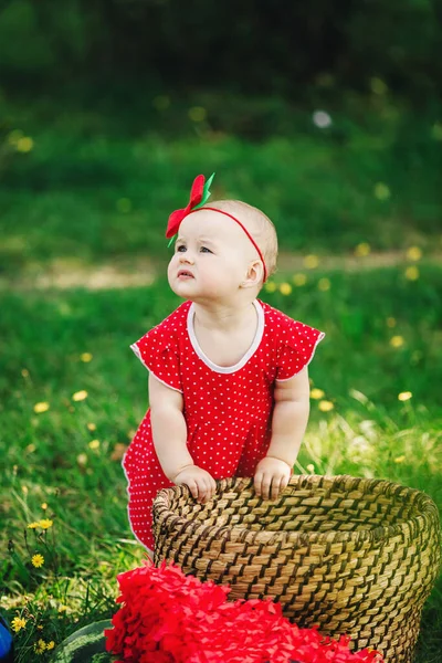 Bonito Meses Bebê Menina Piquenique Grama Com Melancias Criança Vestido — Fotografia de Stock