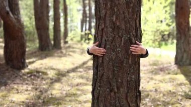 Man with his hands hugs a tree trunk, unity with nature, environmental protection. hand touch the tree trunk. ecology a energy forest nature concept. a man hand touches a pine tree.