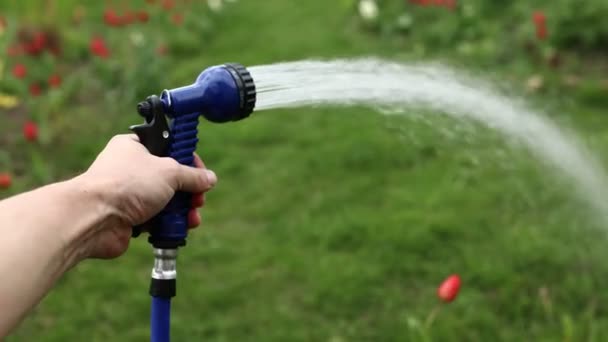 Close up male hand holding water hose and watering lawn or plants on backyard. gardener man with sprinkler in garden. hobby concept. — Stockvideo