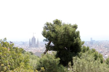 Park Guell 'den güneşli bir günde dağdan Barselona' nın manzarası. Şehir manzarası. 
