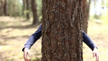 Man with his hands hugs a tree trunk, unity with nature, environmental protection. hand touch the tree trunk. ecology a energy forest nature concept. a man hand touches a pine tree.