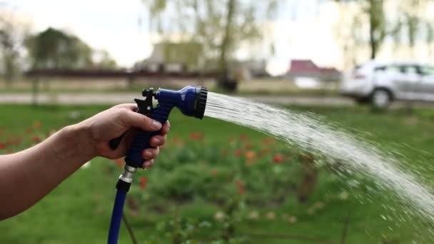 Close Male Hand Holding Water Hose Watering Lawn Plants Backyard — Stockvideo