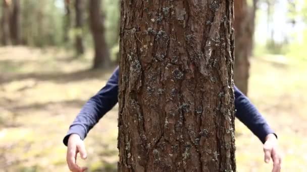 Άνθρωπος Χέρια Αγκαλιάζει Ένα Κορμό Δέντρου Ενότητα Φύση Προστασία Του — Αρχείο Βίντεο