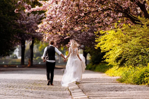 Beaux Joyeux Vivants Jeunes Mariés Marié Mariée Sont Câlins Près — Photo