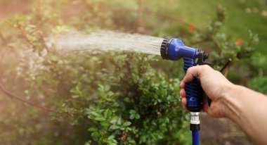 Watering green garden with outdoor hose. hand with hose sprinkle watering plants in the garden. watering lawn or plants on backyard. gardener man with sprinkler in garden.