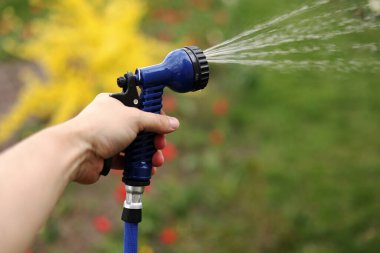 Açık hava hortumuyla yeşil bahçeyi sulamak. Bahçeye su serpiştiren hortumlu bir el. Bahçedeki çimenleri ya da bitkileri sulamak. Bahçede fıskiyeli bahçıvan..