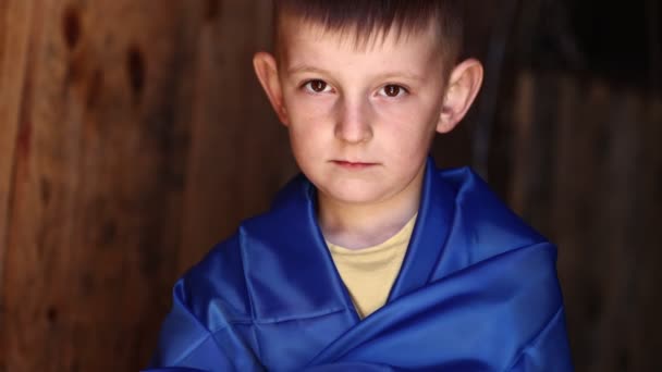 Ukrainian Small Child Stands Outdoors Supporting Homeland Little Kid Covered — Video