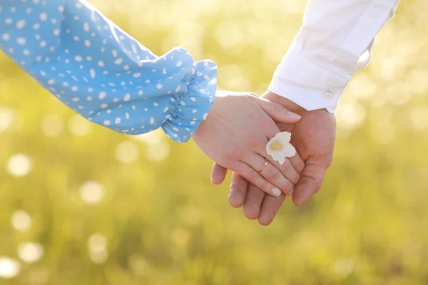 Romantik Randevu Konsepti Genç Adam Kadın Ele Tutuşuyorlar Elinde Papatya — Stok fotoğraf