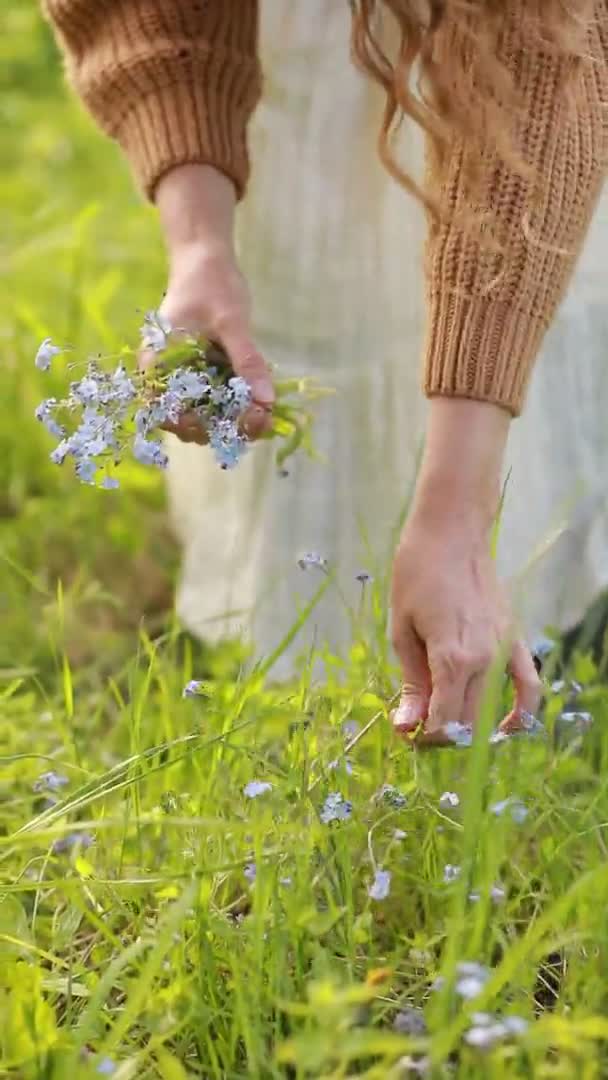Mujer Joven Recoge Flores Azules Silvestres Parque Verde Día Soleado — Vídeos de Stock