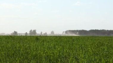 Sahadaki kum fırtınası, verimli toprağın üst katmanında rüzgar erozyonu. Tarlada kum fırtınası. Kara toprak ve ekinlerin verimli tabakasını yok eder. Yüksek kalite 4k görüntü.