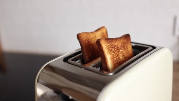Pane Arrosto Tostapane Bianco Due Deliziosi Toast Tostapane Processo Frittura — Video Stock