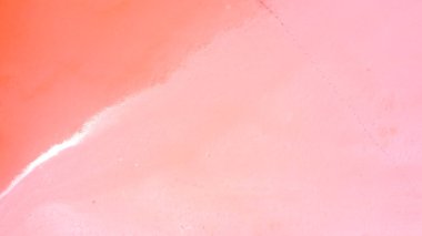 Pembe suyu olan tuzlu göl manzarası, Sivash gölü, Ukrayna, dinlenme yeri. Göl, tuzlar ve sudaki kabuklu deniz ürünleri yüzünden doğal olarak pembeleşir.