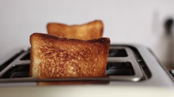 Pečený Chléb Bílém Toustovači Dva Výborné Toastové Tousty Proces Smažení — Stock video