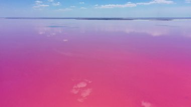 Pembe suyu olan tuzlu göl manzarası, Sivash gölü, Ukrayna, dinlenme yeri. Göl, tuzlar ve sudaki kabuklu deniz ürünleri yüzünden doğal olarak pembeleşir.