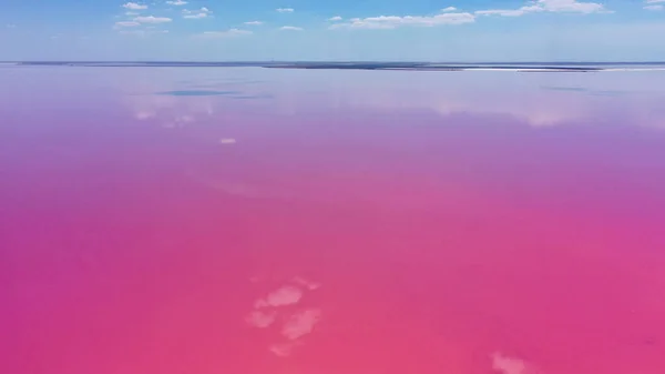 Aerial view of salt lake with pink water, lagoon Sivash, Ukraine, recreation place. Lake naturally turns pink due to salts and small crustacean Artemia in the water