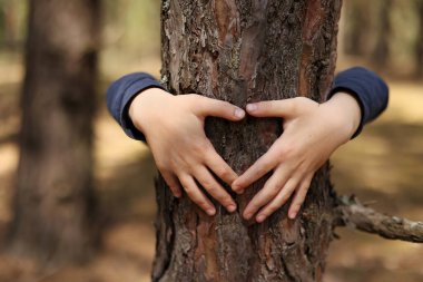 Çocuk ormanda bir ağaca sarılıyor. Küresel karbondioksit ve küresel ısınma sorunu kavramı. Çocuğun elleri ağaç gövdesinde kalp şekli oluşturuyor. Doğanın sevgisi. Bir ağacın gövdesine sarılmış eller