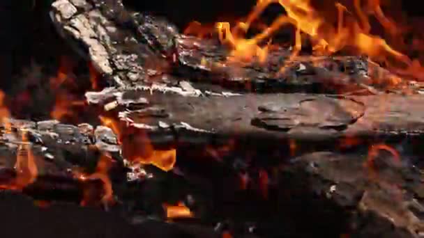 Brûler Bois Chauffage Près Bois Barbecue Feu Flamme Charbon Frêne — Video