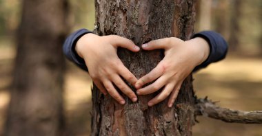 Çocuk ormanda bir ağaca sarılıyor. Küresel karbondioksit ve küresel ısınma sorunu kavramı. Çocuğun elleri ağaç gövdesinde kalp şekli oluşturuyor. Doğanın sevgisi. Bir ağacın gövdesine sarılmış eller