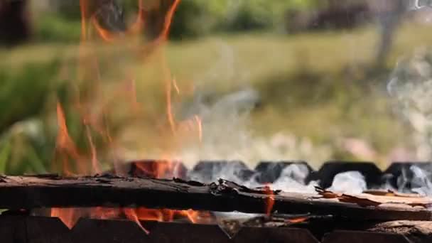 火の赤い舌が火鉢の木の棒を燃やす バーベキューの森 金属グリルで燃焼灰石炭バーベキュー屋外の準備 木の丸太を燃やしたりキャンプファイヤーから煙が上がり — ストック動画