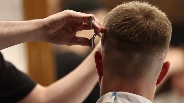 Young Male Barber Adjusts Hair Male Client Professional Hair Care — Stock Video © andriymedvediuk #588737912 Young Male Barber Adjusts Hair Male Client Professional Hair Care — Stock Video © andriymedvediuk #588737912