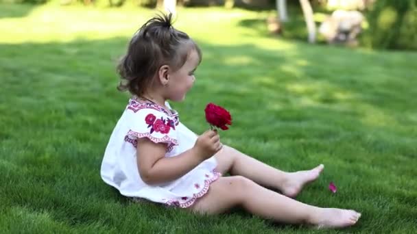 可爱的女婴坐在绿草上 闻着红玫瑰的芬芳 身穿白衣的可爱孩子快乐地微笑着 在户外放暑假 快乐的童年和母性 — 图库视频影像