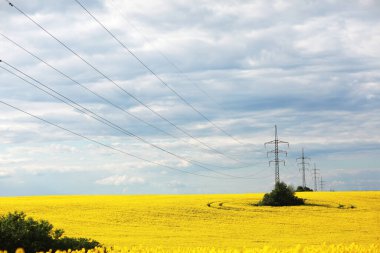 Yüksek voltaj direği, yüksek voltaj kulesi mavi gökyüzü arka planı, elektrik direkleri ve elektrik iletim hatları sarı yakut çekirdeği tarlasına karşı.