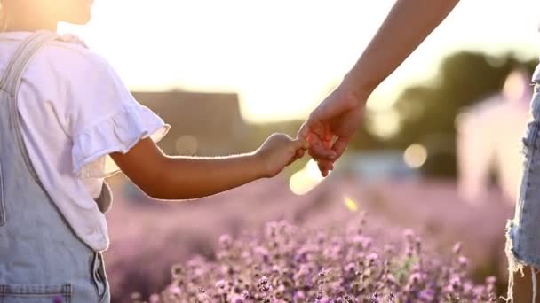 Happy Family Day Mom Holds Her Child Daughter Hand Lavender — Stockvideo