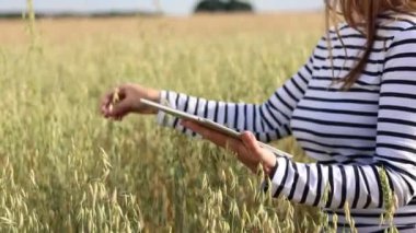 Modern technologies in agriculture, business woman farmer with computer tablet in her hands works in wheat field, checks grain harvest. Agriculture, growing food. Healthy ecological food.