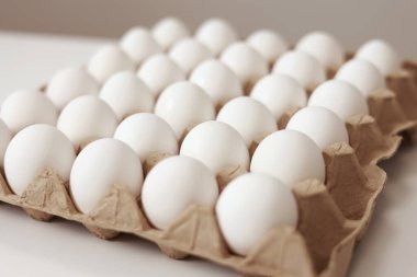 Close Up of raw chicken eggs in paper egg tray on white background. Group of Fresh white Eggs in a cardboard cassette. Organic food from nature good for health
