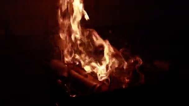 Close Fire Burning Fireplace Video Fire Flames Firewood Burning Cold — Video