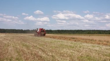 A combine harvester drives through the field and harvests wheat in the summer. Harvesting of early grains and winter wheat. Cultivation of organic wheat. War in Ukraine, food crisis, hunger in Africa.