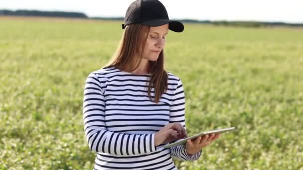 Female Agronomist Tablet Checks Growth Field Buckwheat Flowers Woman Examines — 图库视频影像