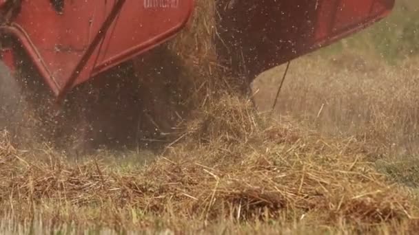 Combine Harvester Drives Field Harvests Wheat Summer Harvesting Early Grains — Stockvideo