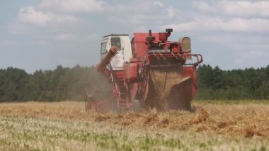 A combine harvester drives through the field and harvests wheat in the summer. Harvesting of early grains and winter wheat. Cultivation of organic wheat. War in Ukraine, food crisis, hunger in Africa.