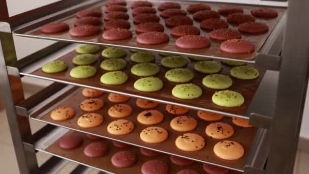 Chef Colocando Uma Bandeja Cheia Macarons Coloridos Uma Prateleira Metal — Vídeo de Stock