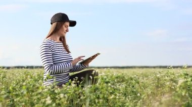 Soya tarlasında tablet bilgisayarlı kadın çiftçinin kesilmiş videosu yapraklara dokunuyor ve programa veri yazıyor. Tarım endüstrisinde organik akıllı tarım ve dijital tarım