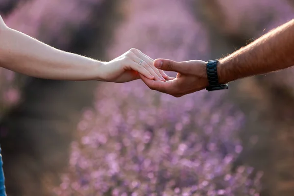 Multiracial Love Romantic Couple Holding Hands Lavender Field Dark Male — Stock Photo, Image