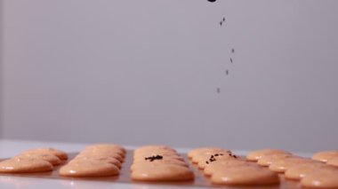close up of process of making chocolate macarons. chef in black gloves is decorating brown shells of Macaroons and throwing black sesame on it. slow motion video.