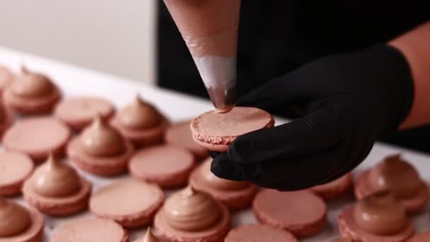 Making French Desert Macarons Chef Hands Black Gloves Confectionery Bag — ストック動画