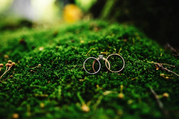 Macro Fotografía Boda Anillos Compromiso Sentado Parte Superior Moss Anillos —  Fotos de Stock