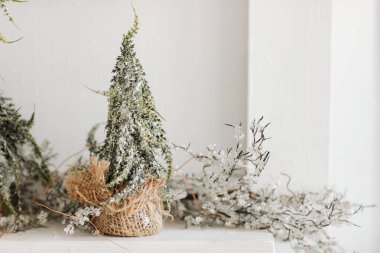 Noel kompozisyonu. Çuval bezi ve yapay karlı iki Noel köknar ağacı, ahşap beyaz kırsal arka planda. Mutlu Noeller, yeni yıl, mutlu tatiller, şablon. Tebrik kartı. 2023.